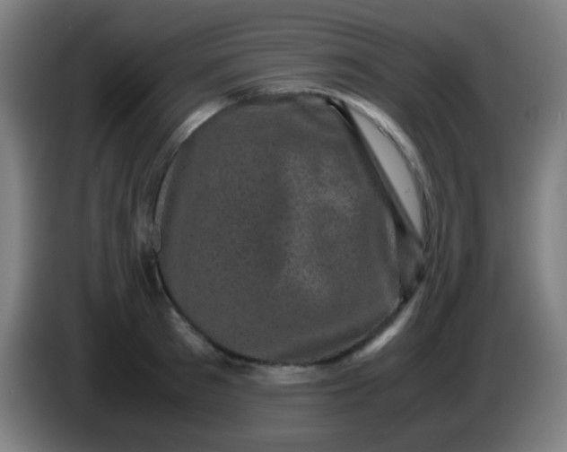 X0000085230897200703301723