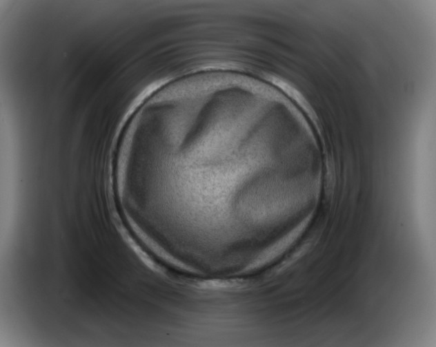 X0000085230898200703301723
