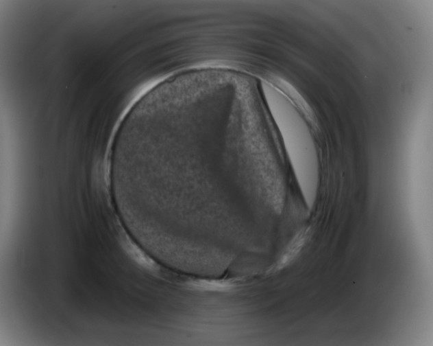 X0000085230900200703301723