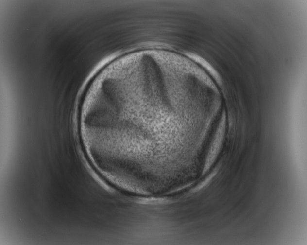 X0000085230902200703301723