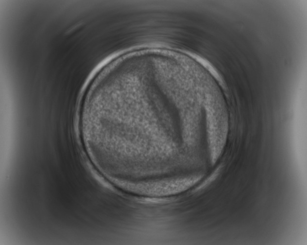 X0000085230904200703301722