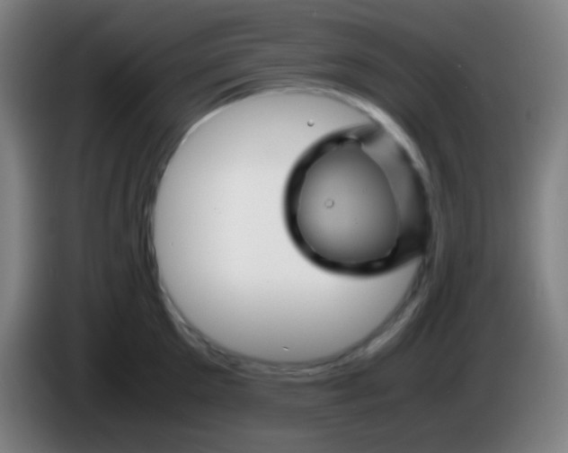 X0000085230905200703301722