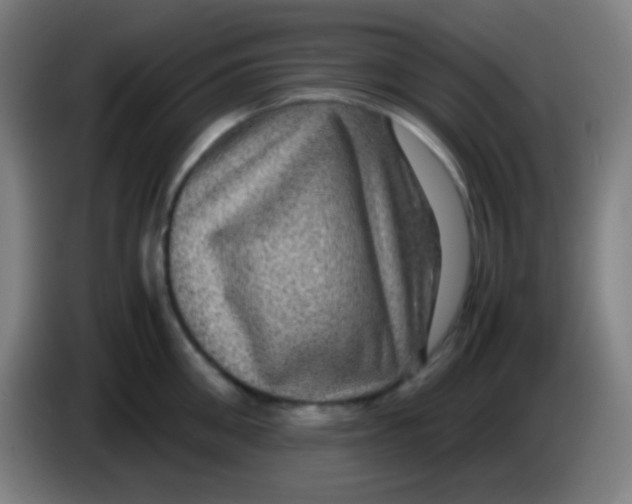 X0000085230906200703301722
