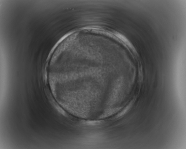 X0000085230908200703301722