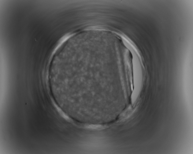 X0000085230909200703301722