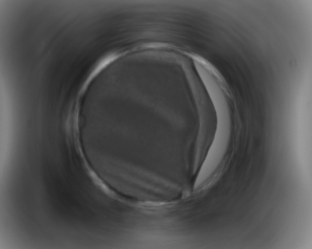X0000085230910200703301722