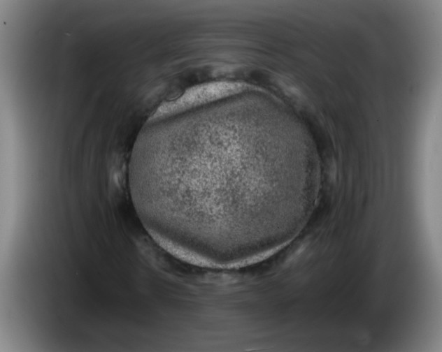 X0000085230914200703301722