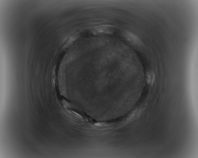 X0000085230915200703301722