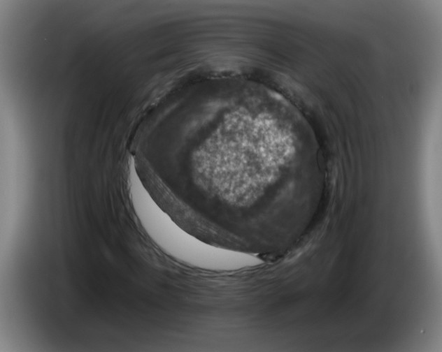 X0000085230916200703301722