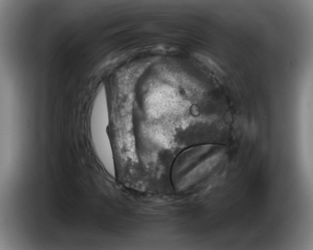 X0000085230917200703301722