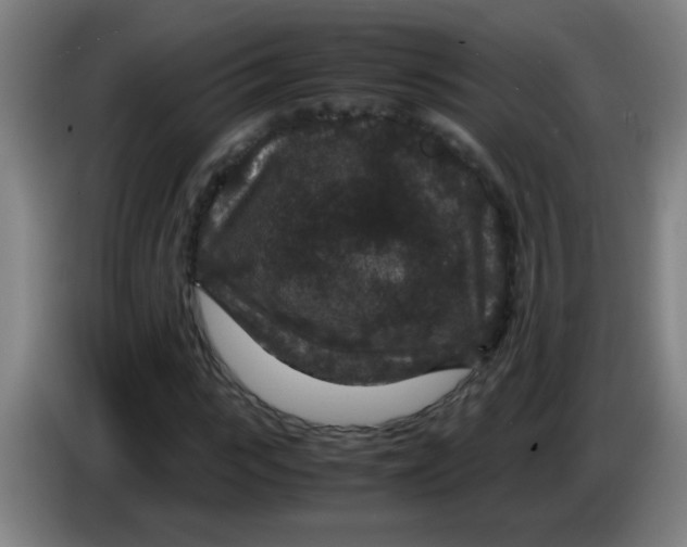 X0000085230919200703301722