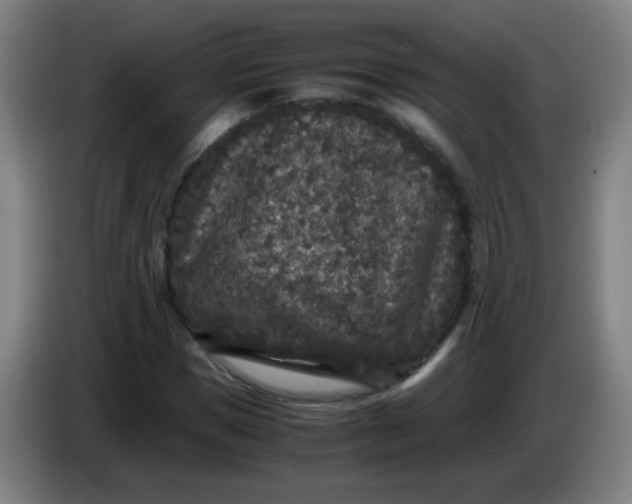 X0000085230921200703301722