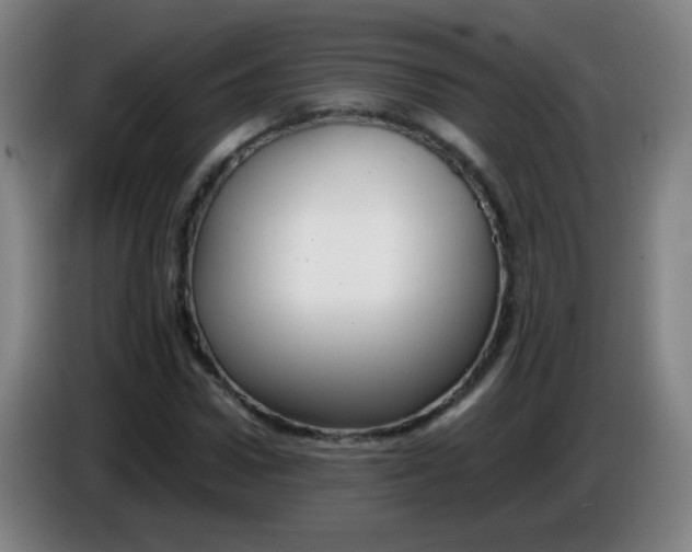 X0000085230922200703301722