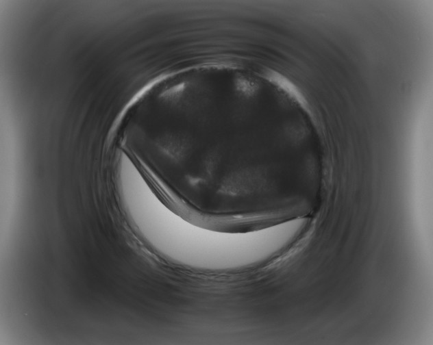 X0000085230923200703301722