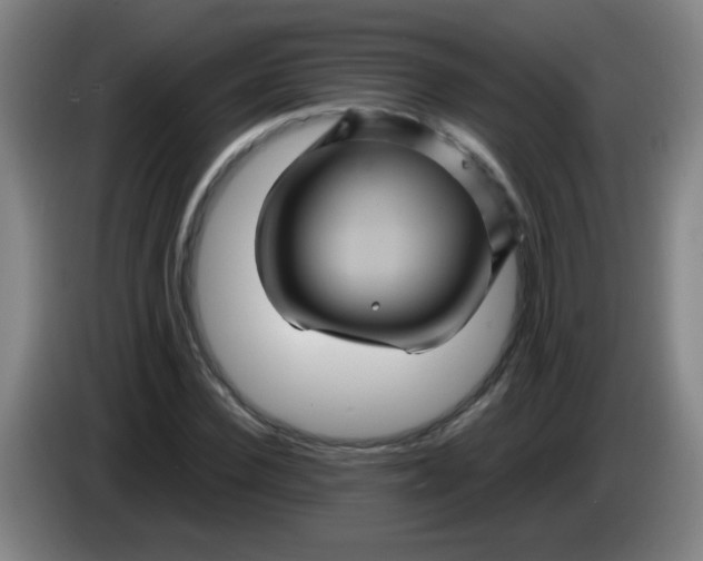 X0000085230924200703301722