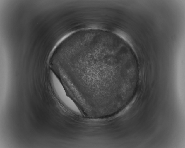 X0000085230925200703301722