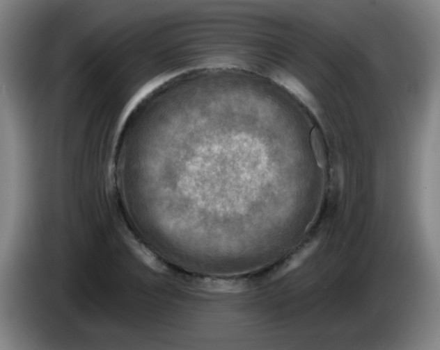 X0000085230928200703301722