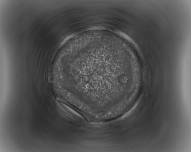 X0000085230929200703301722