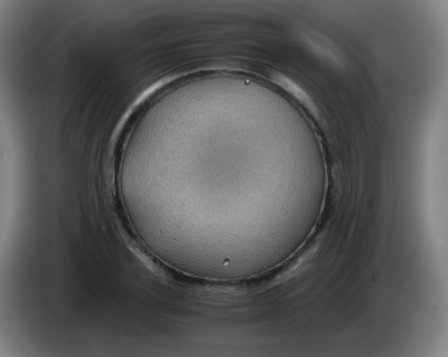 X0000085230931200703301722