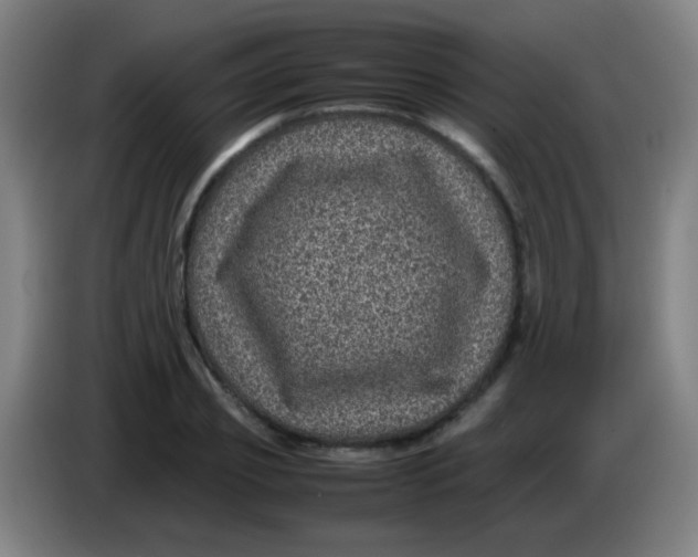 X0000085230933200703301722