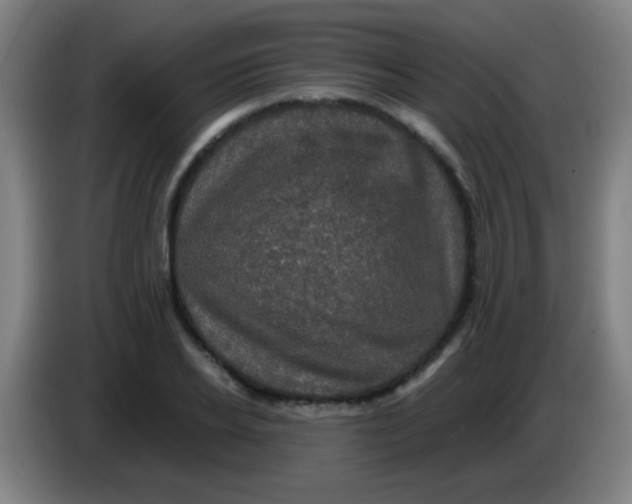 X0000085230934200703301722