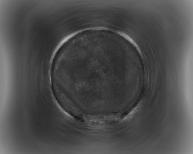 X0000085230935200703301722