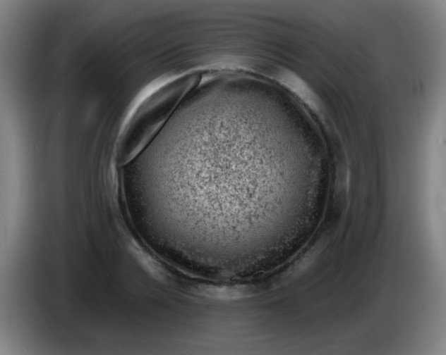 X0000085230936200703301722
