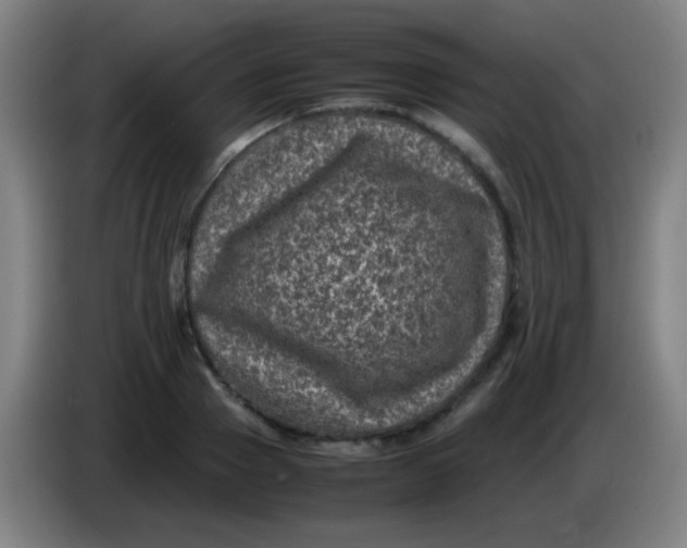 X0000085230937200703301722