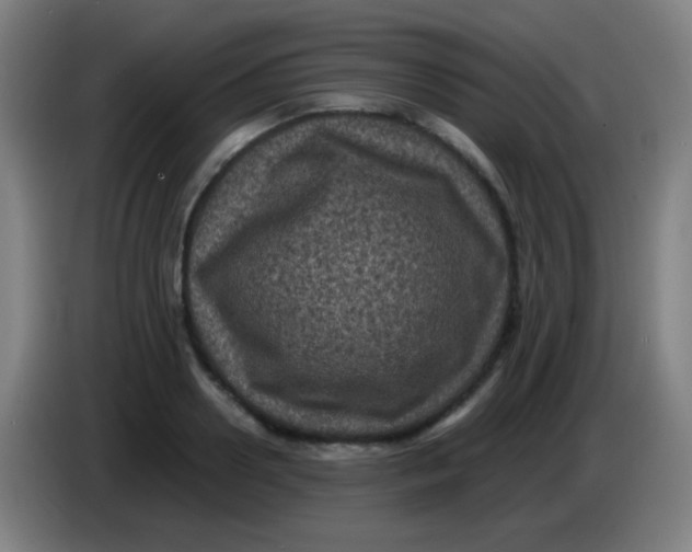 X0000085230938200703301722
