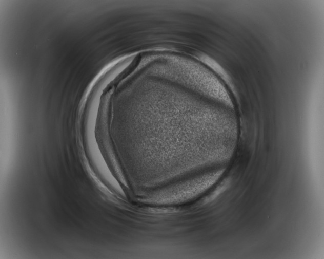 X0000085230939200703301722