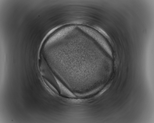 X0000085230940200703301722
