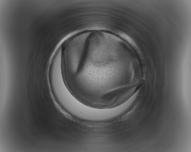 X0000085230942200703301722
