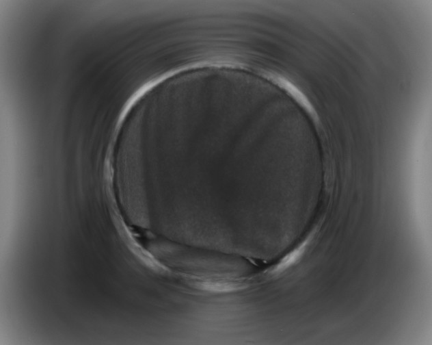 X0000085230944200703301722