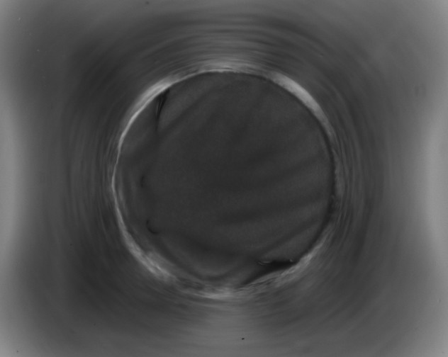 X0000085230946200703301722