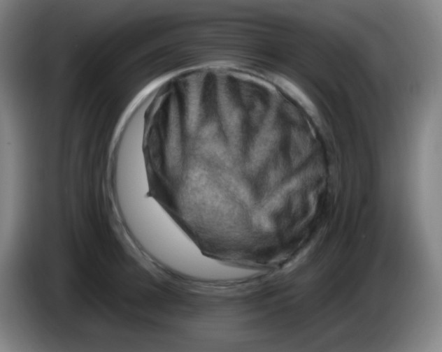 X0000085230948200703301722