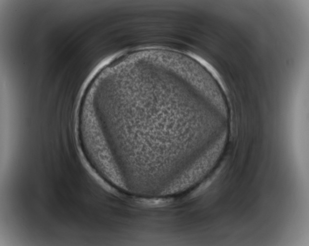 X0000085230949200703301722