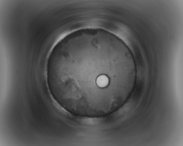 X0000085230950200703301722