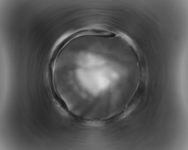 X0000085230952200703301722
