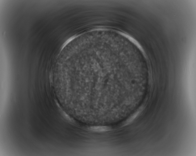 X0000085230953200703301722