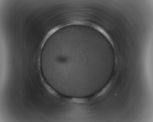 X0000085230954200703301722
