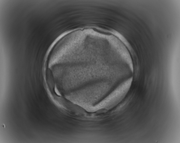 X0000085230955200703301722