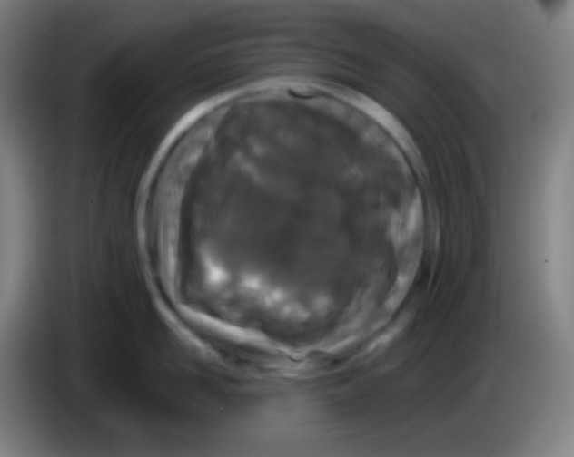 X0000085230958200703301722