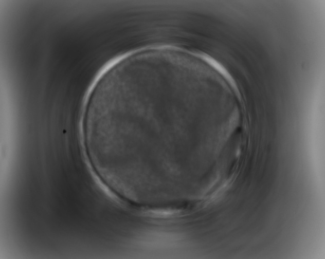 X0000085230959200703301722