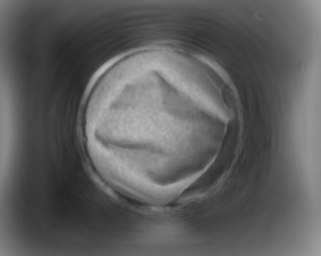 X0000085230960200703301722
