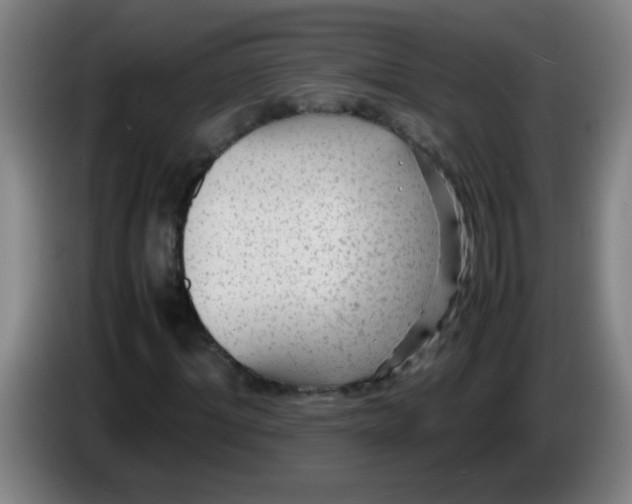 X0000085230964200703301722
