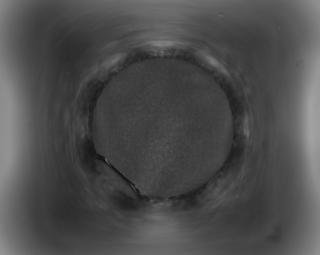 X0000085230965200703301722