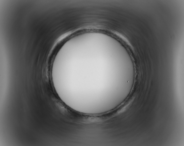 X0000085230974200703301721