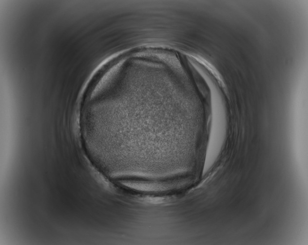 X0000085230976200703301721