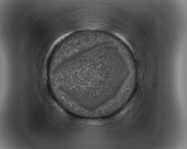 X0000085230979200703301721