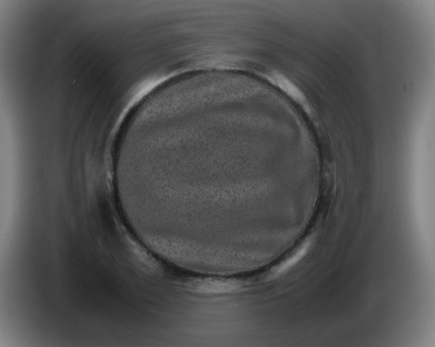 X0000085230981200703301721